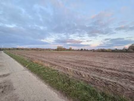 a vendre – terrain agricole libre d’occupation