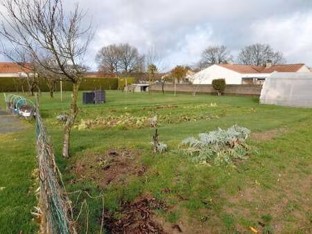 vente terrain à sainte-florence (85140) : à vendre / 800m² sainte-florence