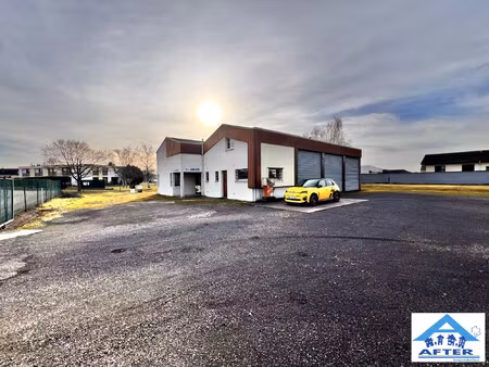 immobilier professionnel à vendre chanteheux