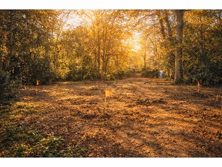terrain d'exception dans un environnement préservé et recherché !
