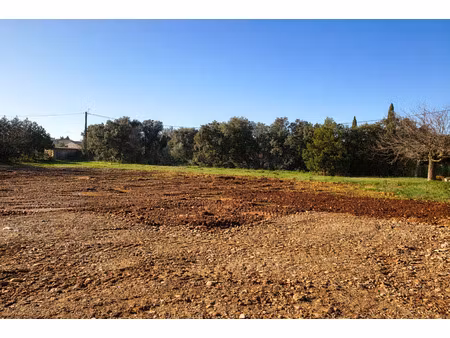 vente terrain à construire 905 m² châteauneuf-du-pape (84230)