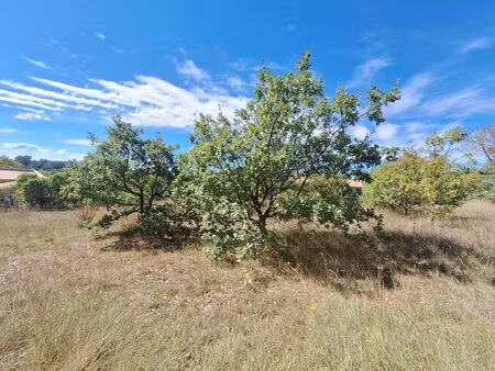 vente terrain à construire 1512 m² régusse (83630)