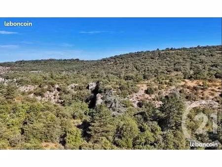 terrain boisé non constructible methamis