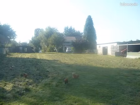 pension chevaux à l'herbage