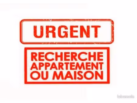 recherche location appartement/maison