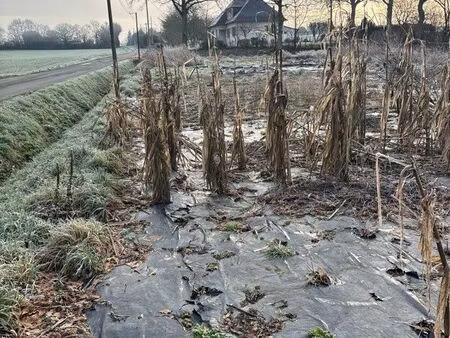 terrain à louer jardin ou autre