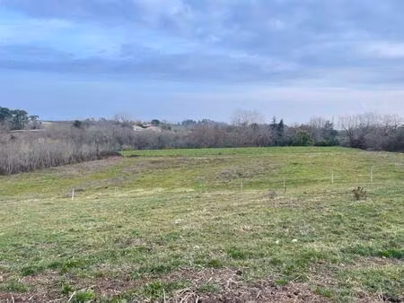 terrain constructible