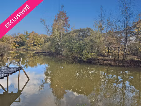 vente etang  32715.00m²  le puiset