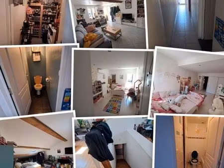 ? coup de cœur assuré maison de village avec piscine et jardin