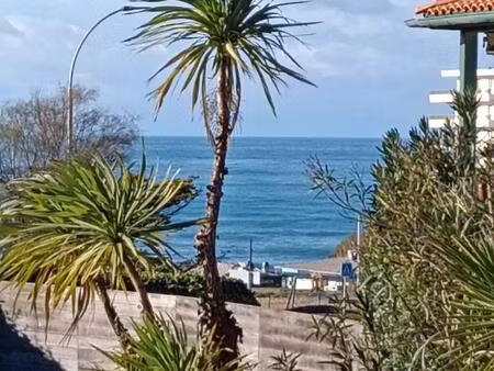 face à l'océan  plage de la milady biarritz