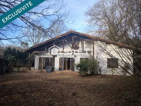 propriete landaise aux portes de mont de marsan