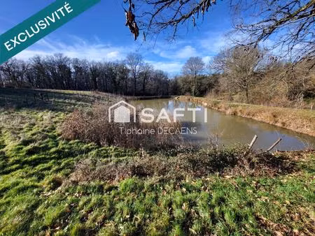 terrain de loisir avec étang