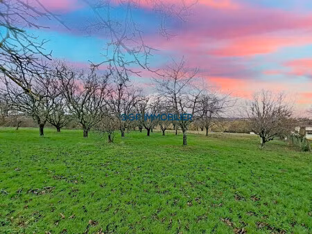 terrain à bâtir 1010 m² viabilisé proximité gragnague