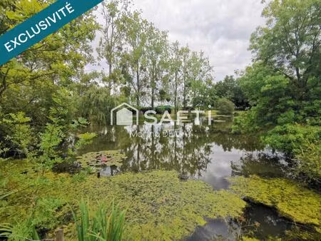 un havre de paix avec etang en pleine nature