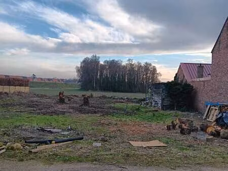 grond te koop in bree