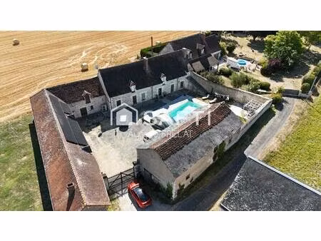 vente maison 7 pièces 240 m² maillé (37800)