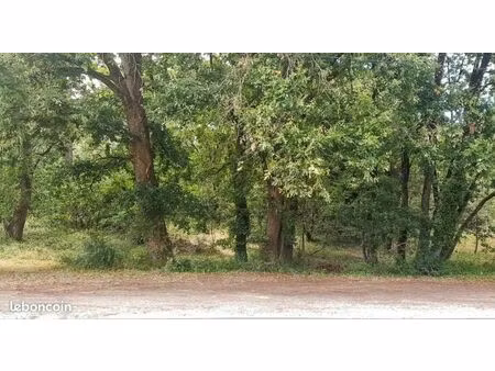 terrain 1 242 m² soulac sur mer