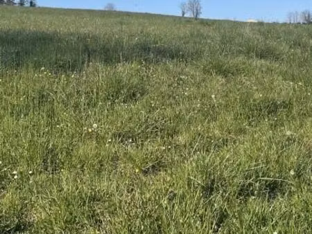 terrain 500 m² sauveterre de guyenne