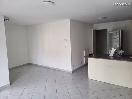 appartement plein centre evian