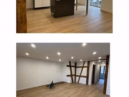 appartement entièrement rénové