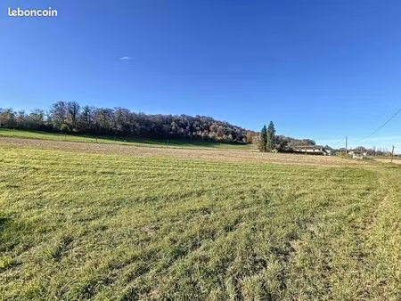 terrain 1 731 m² monein