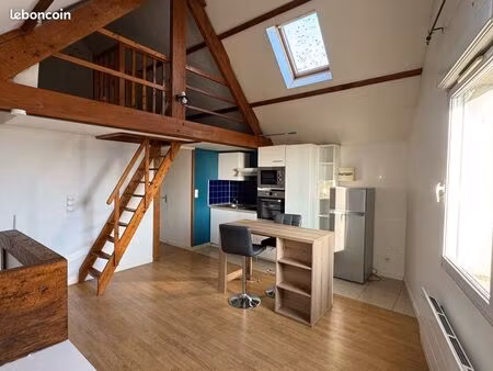 appartement meublé 30m2 + mezzanine 15m2