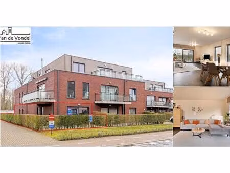 rez-de-chaussée à vendre à steenstraat 26 lede (rbv09929)