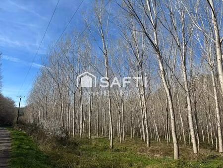 vente terrain 31186 m² villefranche-du-périgord (24550)