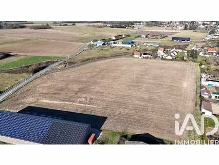 vente terrain à saint-père-sur-loire (45600) : à vendre / 27627m² saint-père-sur-loire