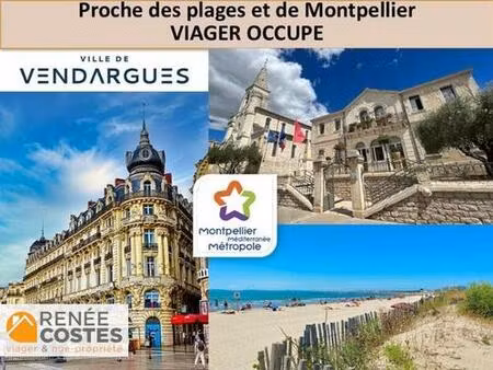 viager occupé - f82 ans - montpellier (34000)