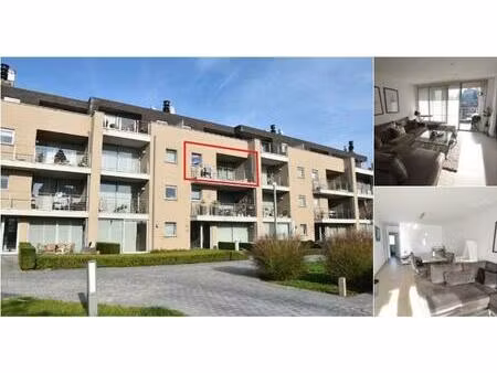 appartement à louer à driekruisenstraat 104 tongres (rbv10364)