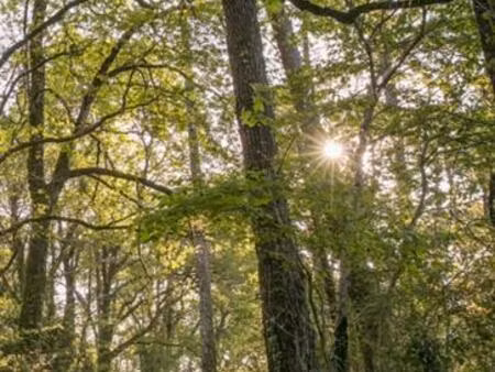 achat : appartement (40260)