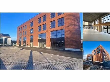 surface industrielle à louer à isidoor meyskensstraat 224 wemmel (rbv10367)