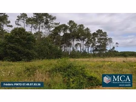 terrain à bâtir à saint-yaguen (40400)