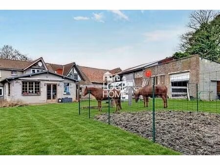 vente maison 6 pièces 167 m² écaillon (59176)