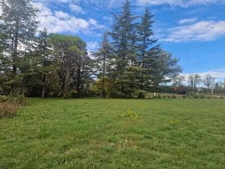 terrain constructible