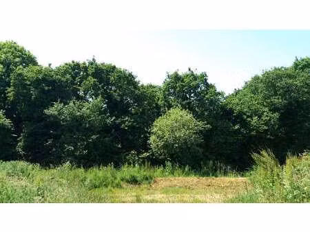 vente terrain à saint-briac-sur-mer (35800) : à vendre / saint-briac-sur-mer