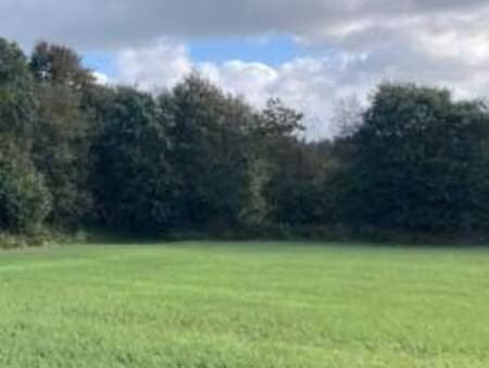 vente terrain à locronan (29180) : à vendre / locronan