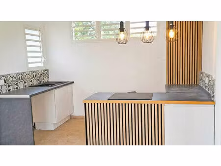 vente maison 7 pièces  250.00m²  le lamentin