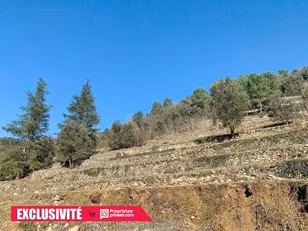 terrain le vigan 2406 m2