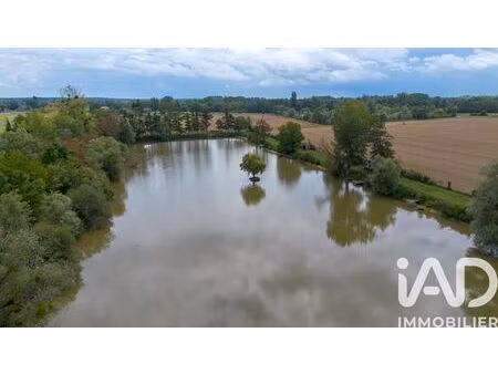 vente terrain 30090 m² larzicourt (51290)