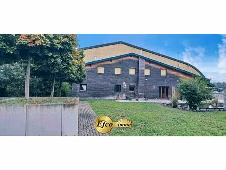 ensemble immobilier 240m2maison principale et 2200m2 d'entrepôt sur 9500 m2 à dietwiller.