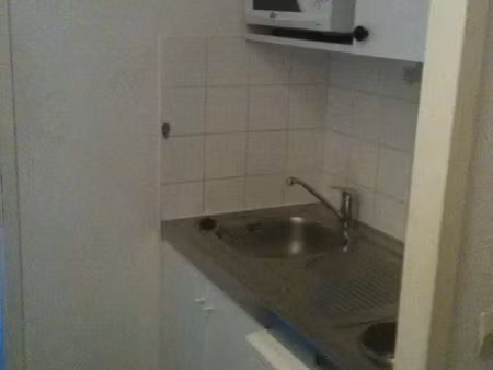 location appartement 1 pièce 18 m² à villeurbanne (69100)