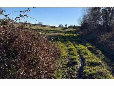 terrain montsoué m² t- à vendre  15 465 €