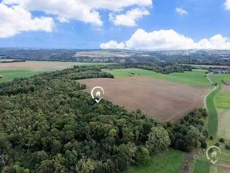 terrain boisé de 5 5 hectares à vendre à dinant