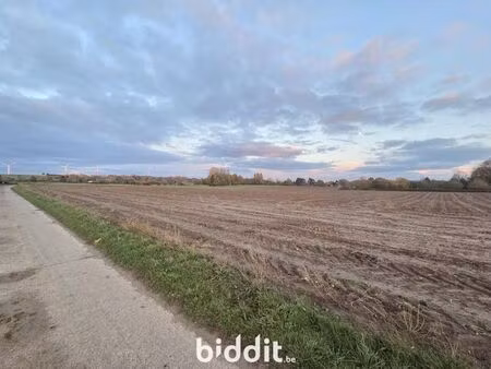 terrain à vendre à ciplet € 240.000 (lk488) - crismer & de sauvage | zimmo