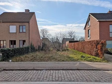 terrain à vendre à wuustwezel € 215.000 (lk41q) - heylen vastgoed - kalmthout | zimmo