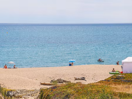 vente appartement 2 pièces 38 m² à solaro (20240)  189 000 €