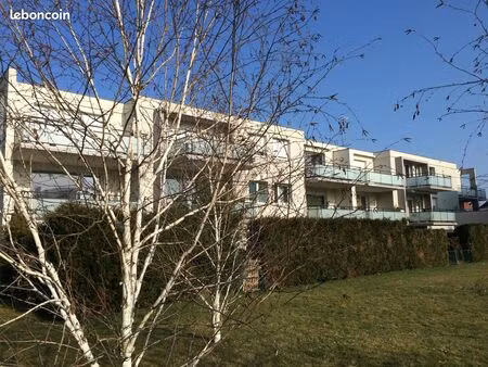 ingersheim proche commerces ravissant f2 54m² en rez-de-jardin