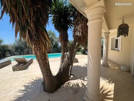 maison avec piscine et jardin